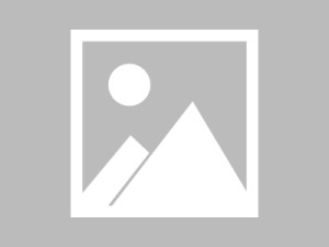 海岙影单 - 多清晰度自适应说明（站点指南）