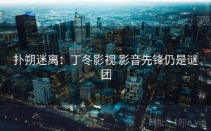 扑朔迷离：丁冬影视 影音先锋仍是谜团