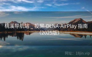 桃溪导航站 _ 投屏-DLNA-AirPlay 指南（2025版）