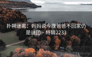 扑朔迷离：妈妈说今晚爸爸不回家仍是谜团 · 特辑2233
