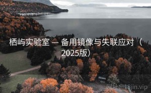 栖屿实验室 — 备用镜像与失联应对（2025版）