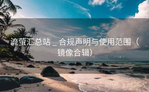 流萤汇总站 _ 合规声明与使用范围（镜像合辑）