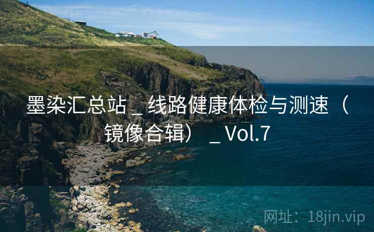 墨染汇总站 _ 线路健康体检与测速（镜像合辑） _ Vol.7