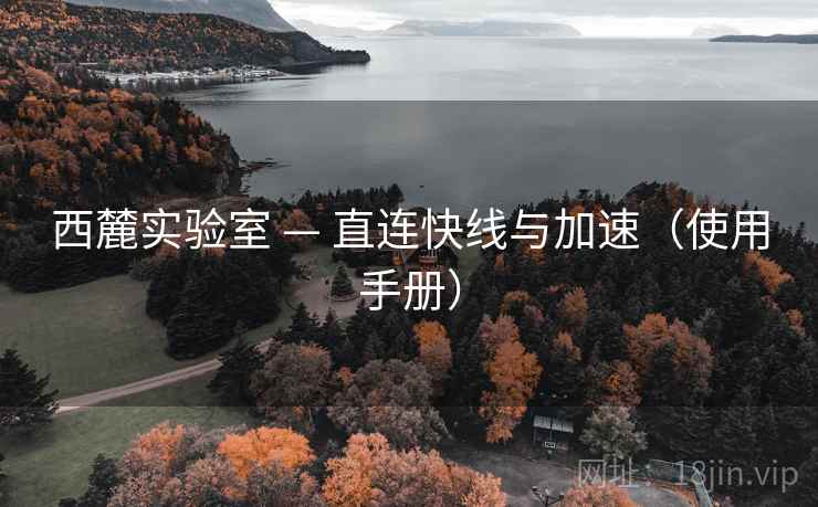 西麓实验室 — 直连快线与加速（使用手册）